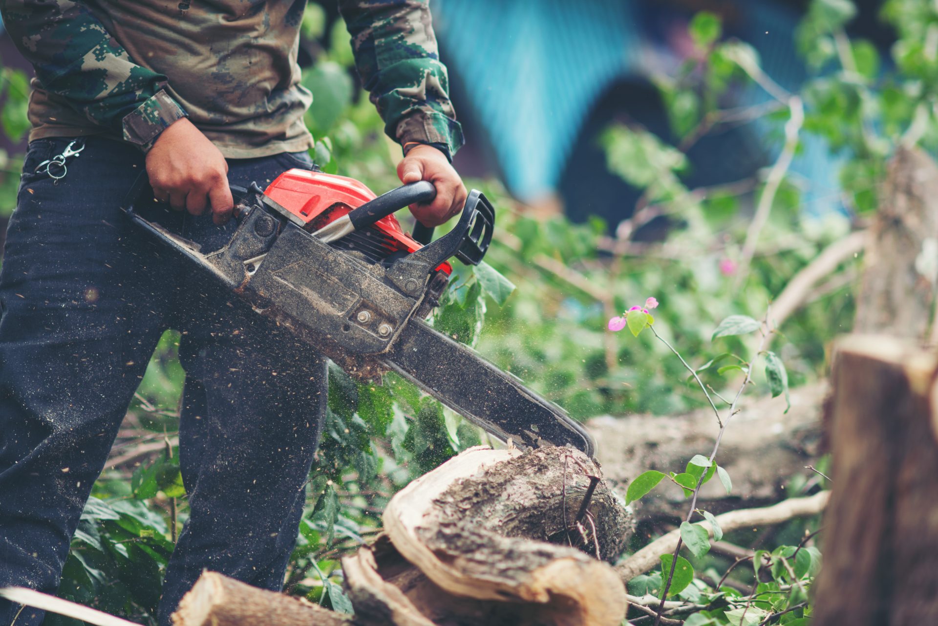 emergency tree removal New Canaan CT