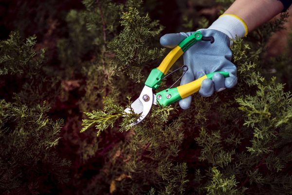 native plant landscaping Westchester NY