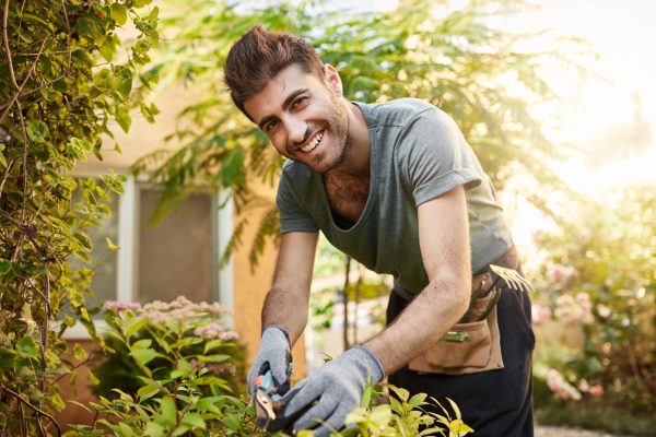 best landscaper near me Westchester