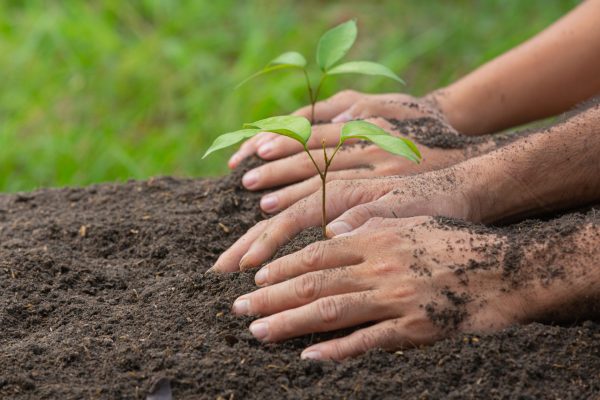 soil testing Connecticut