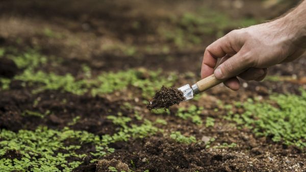 soil testing Connecticut