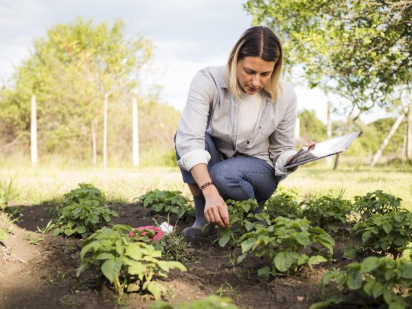 a woman in a gardenChemical-Free Spring Lawn Care